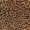 ocelot