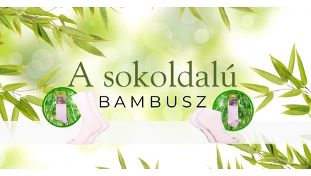 A sokoldalú bambusz