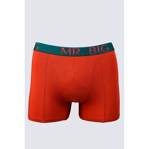 Mr.Big 201 boxer férfi boxer