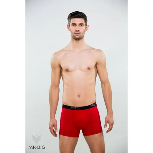 Mr. Big 201 férfi boxer